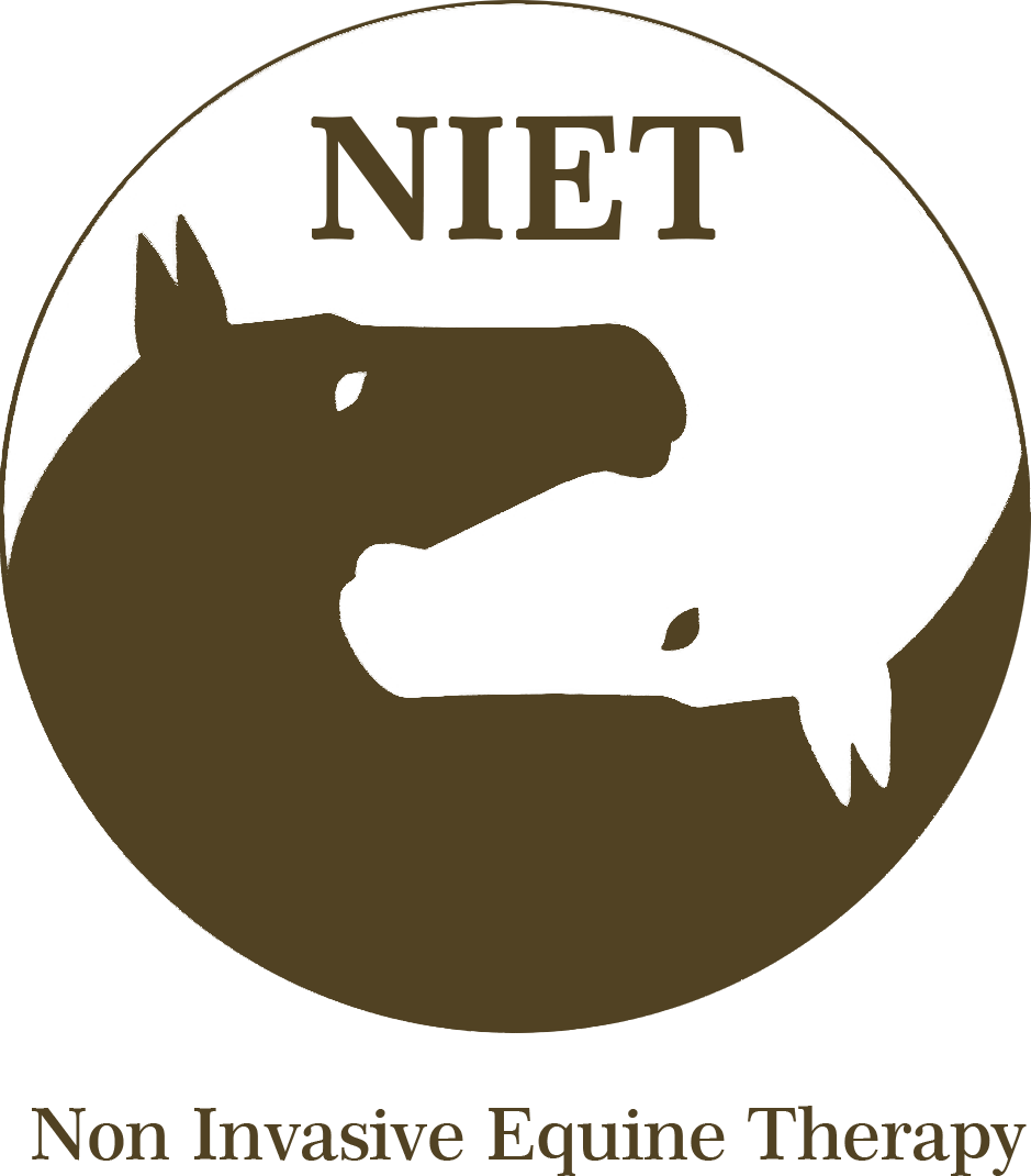 NIET logo