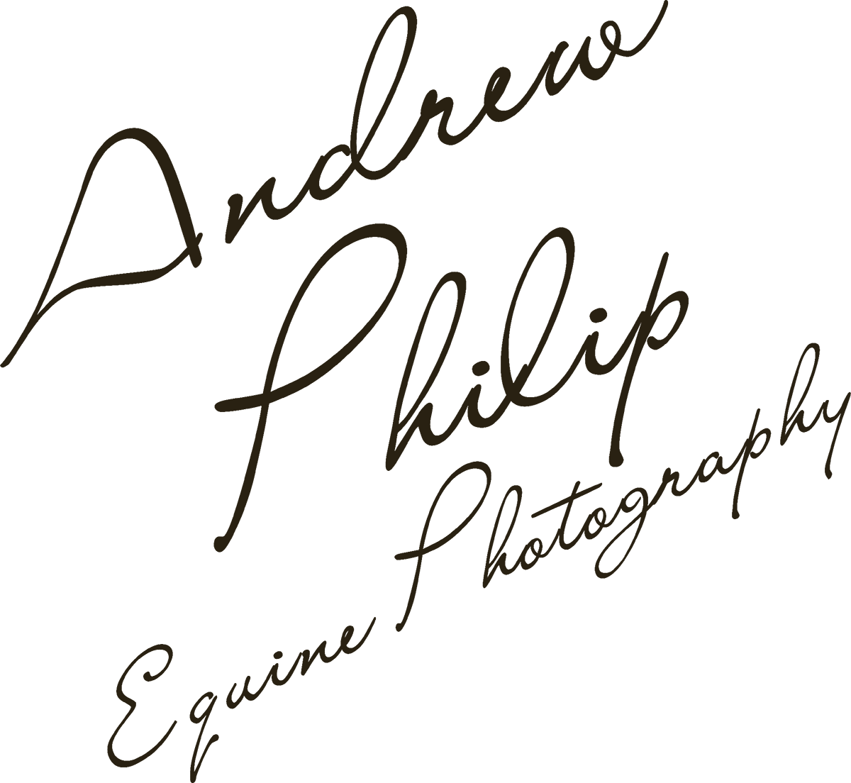 Andrew Philip logo