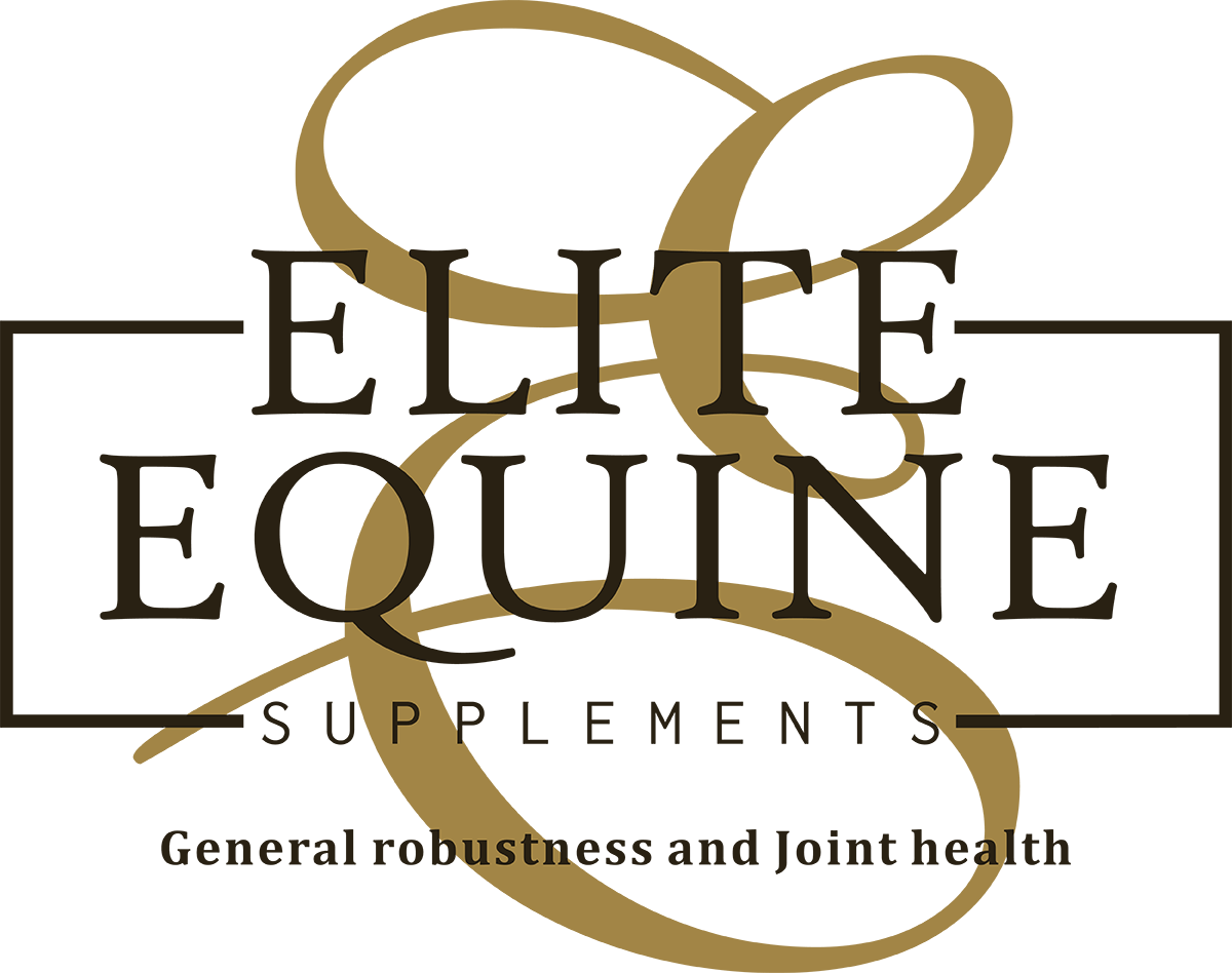 Elite Equine logo